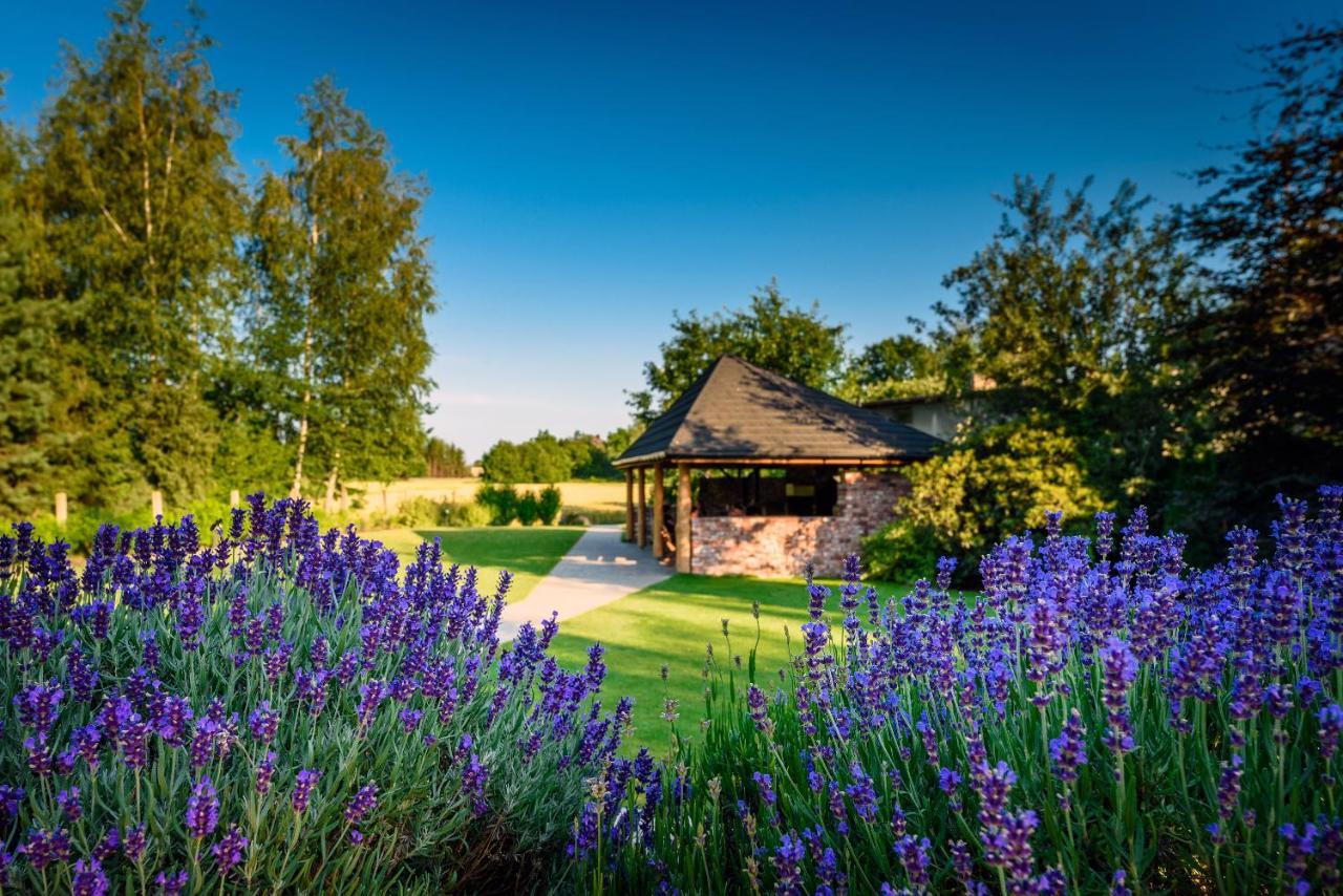 Villa Natura Zator Przeciszow Екстер'єр фото