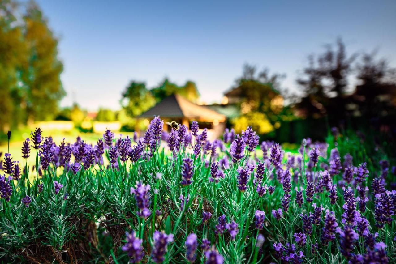 Villa Natura Zator Przeciszow Екстер'єр фото